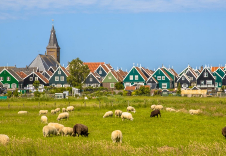מאורגנים בהולנד, בתים במרקן הונד ליד נהר