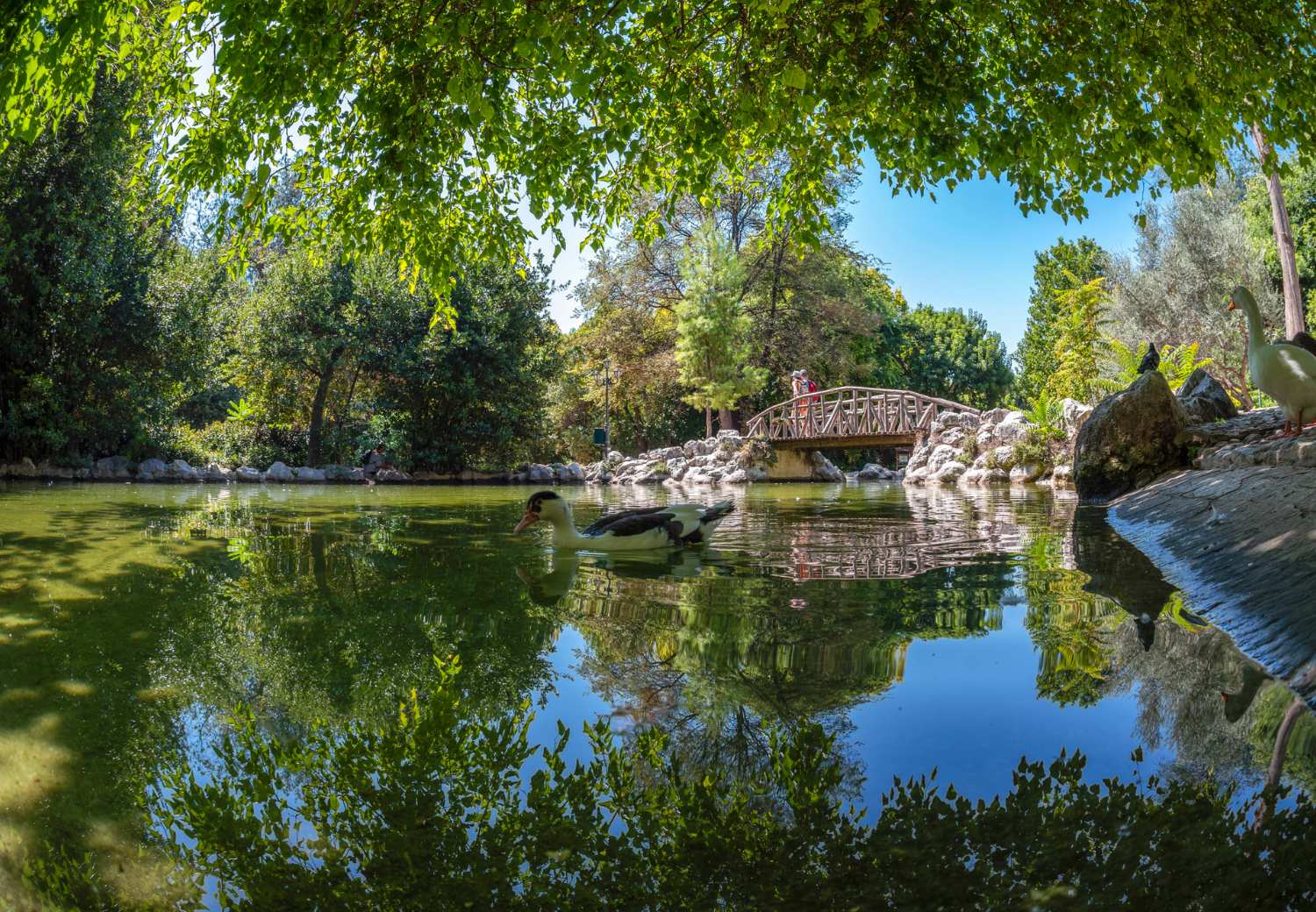Athens National Garden