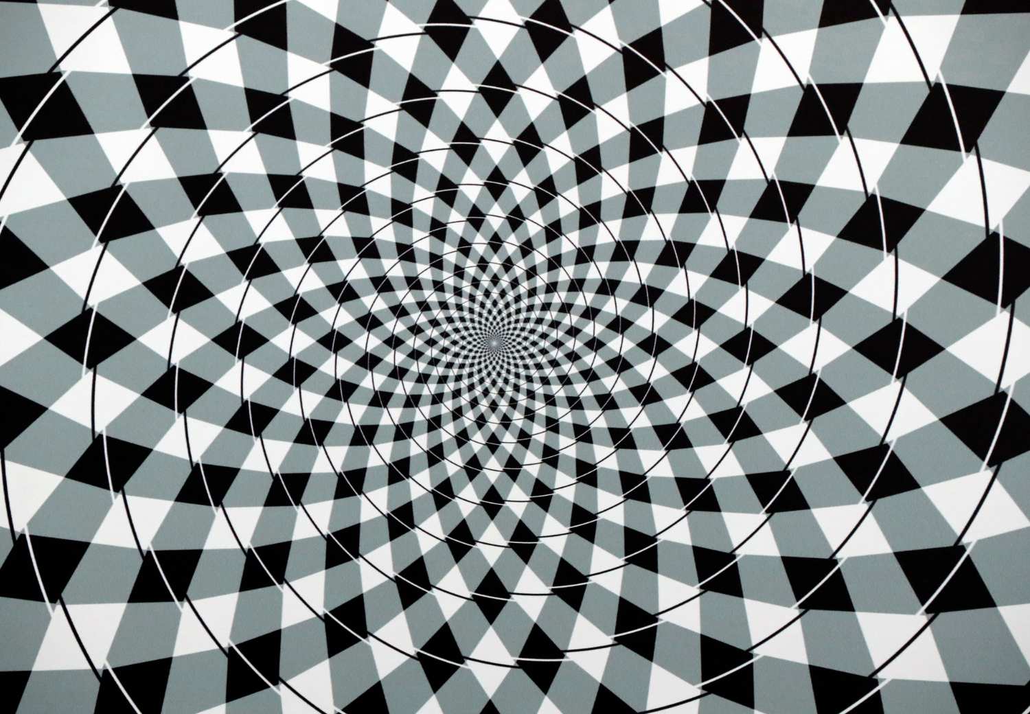 Museum Of Illusions