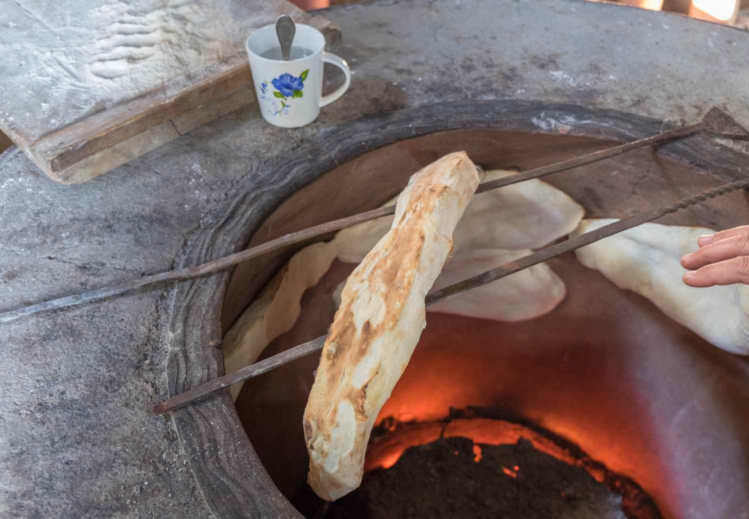 ספארי חורף בבוקריאני