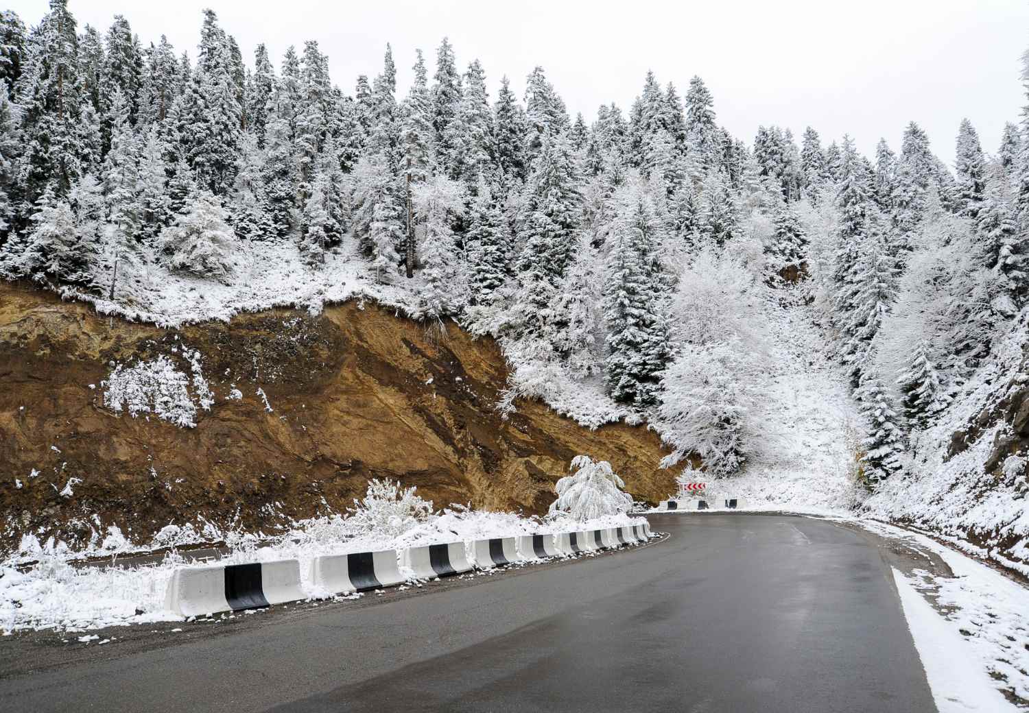 ספארי חורף בבוקריאני ההררית
