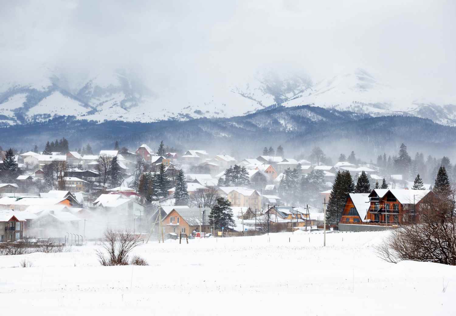 ספארי חורף בבוקריאני