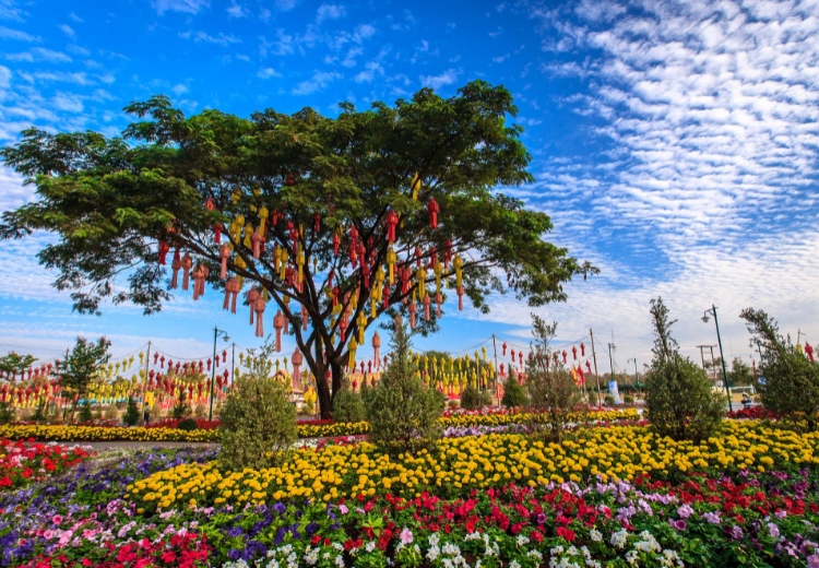 שוק הפרחים בבנגקוק - Pak Khlong Talat (Flower Market)