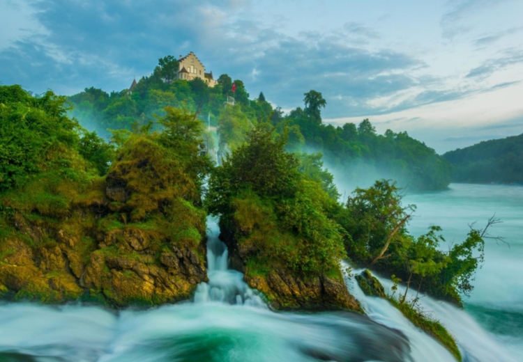 טיול משפחות כשר ליער השחור