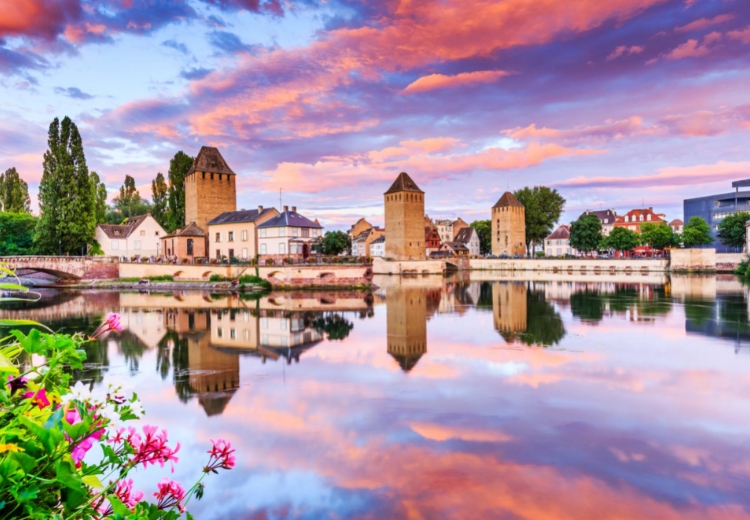 היער השחור למשפחות