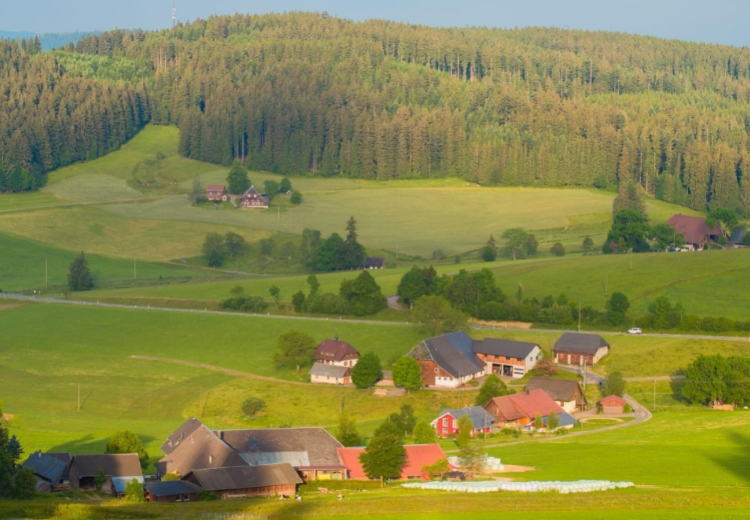 היער השחור עמק הריין שוויץ וצרפת 6 לילות