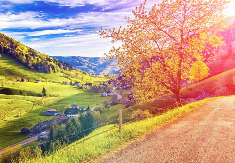 מאורגנים לצרפת באוקטובר