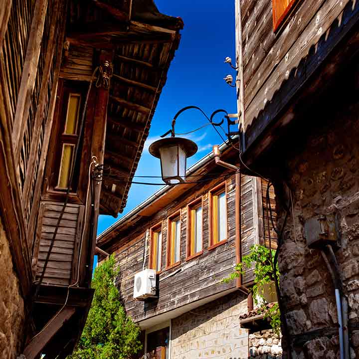 טיסה לבורגס