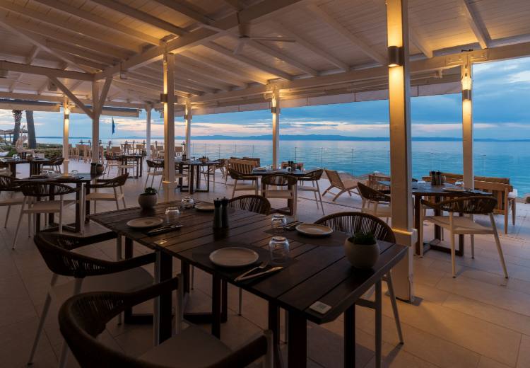 חופשה בחלקידיקי