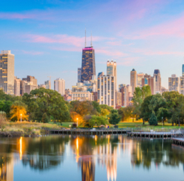 טיסה לשיקגו