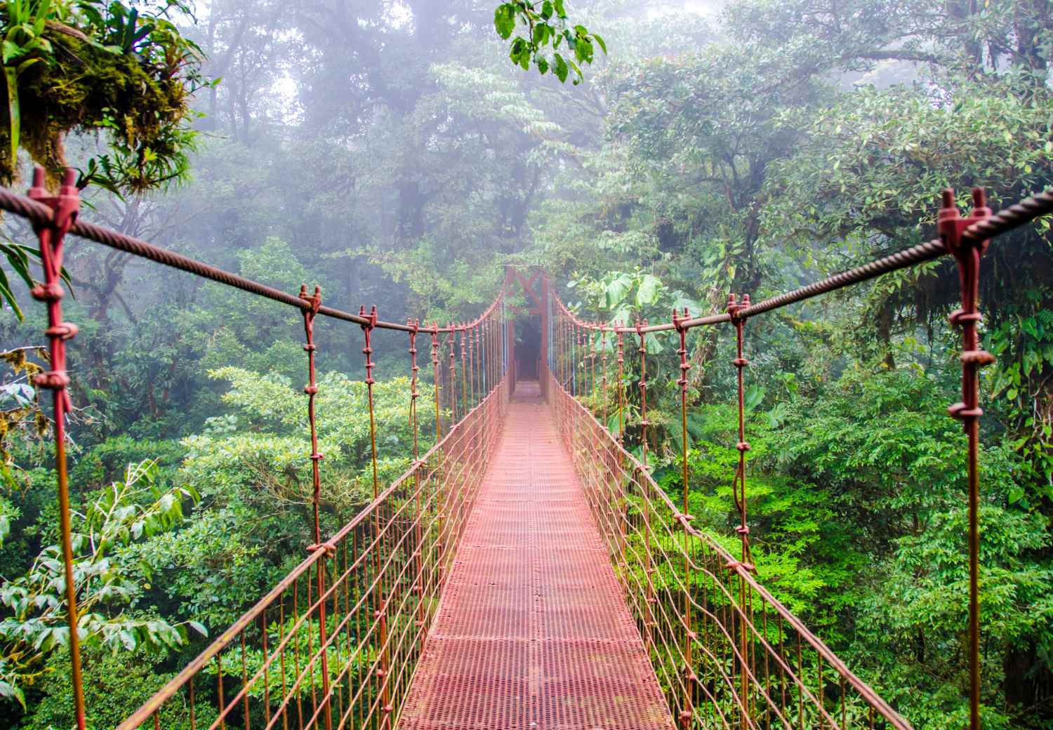 מאורגן לקוסטה ריקה