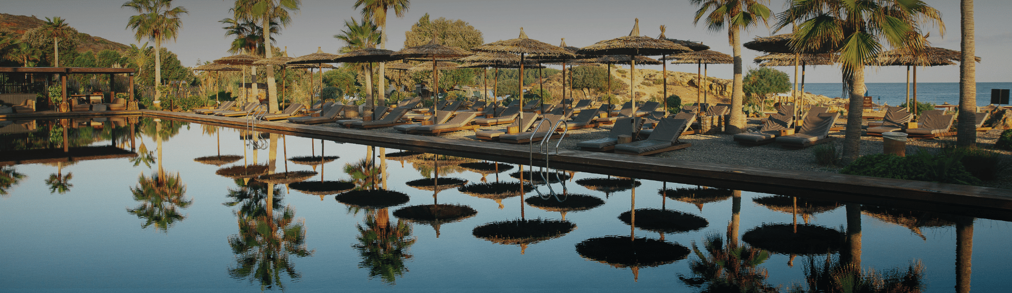 דומס זין חאניה