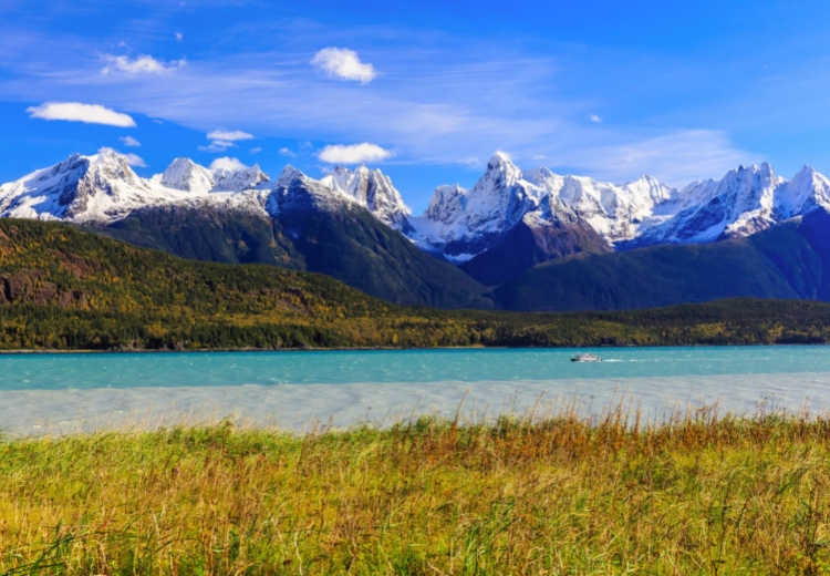 שייט מאורגן באלסקה 30.7 שייט מאורגן באלסקה 30.7