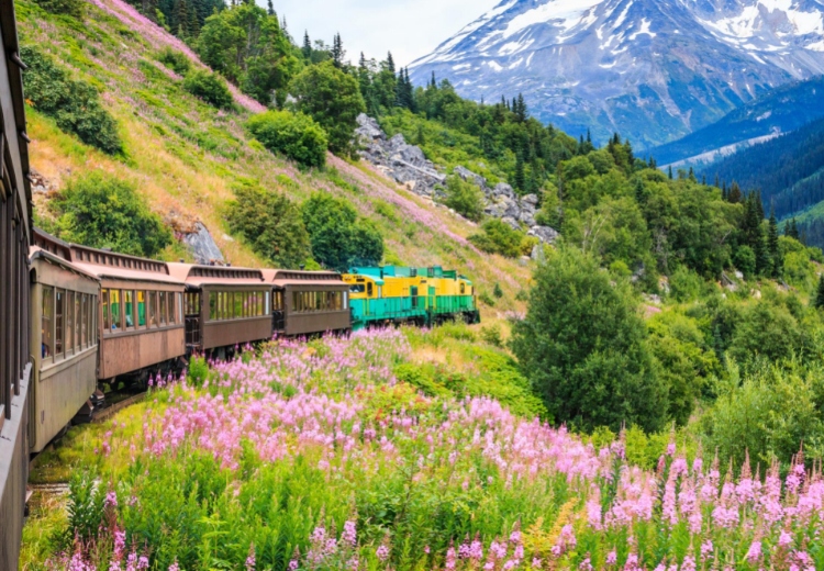 הרוקים הקנדים-קנדה ואלסקה משולב קרוז
