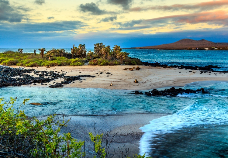 טיול לאקוודור גלפגוס ופרו