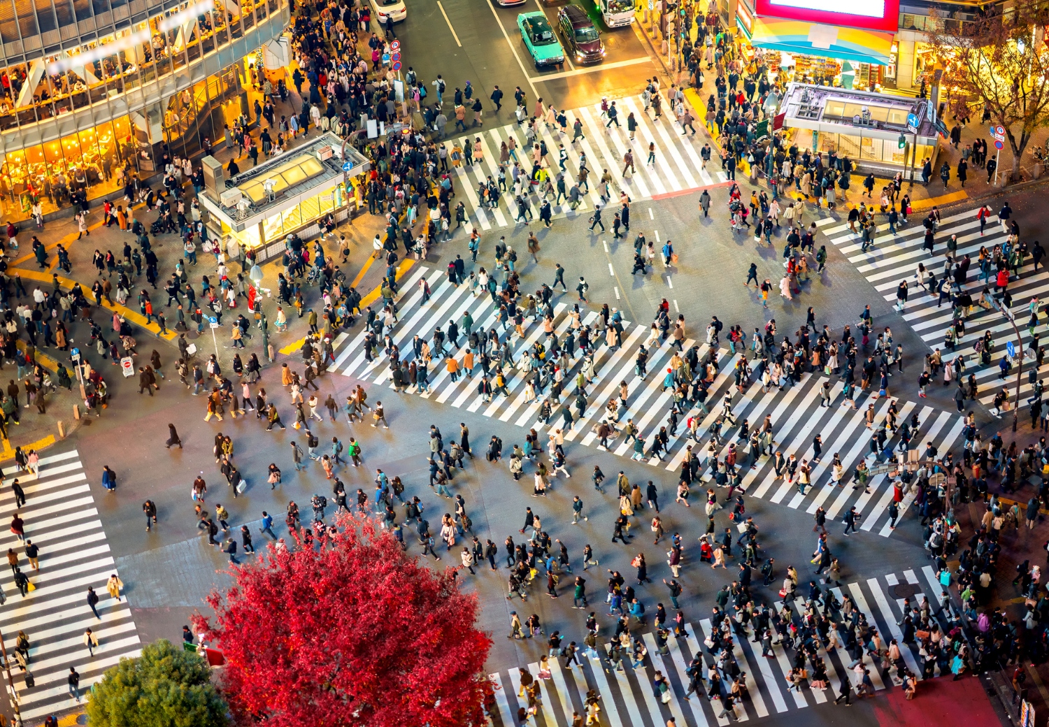 טוקיו-קיוטו ומה שביניהם 7 לילות