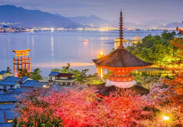 מאורגן יפן אקספרס מאורגן יפן אקספרס