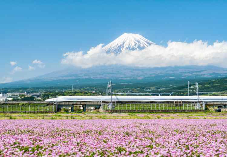 מאורגן ליפן מאורגן ליפן