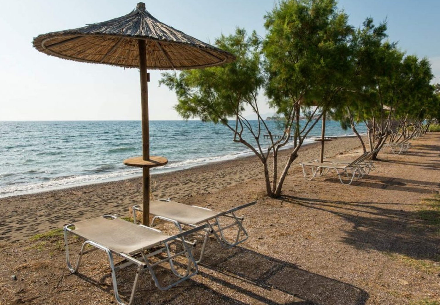 מלון Delfinia Hotel בלסבוס