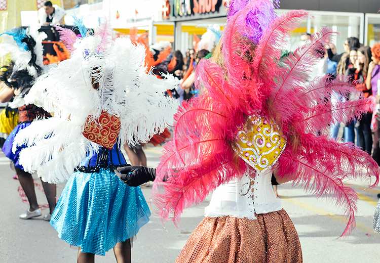 קרנבל מידריה קרנבל מידריה