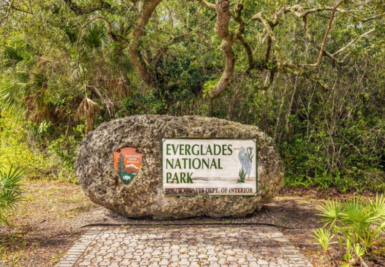 האברגליידס - Everglades National Park
