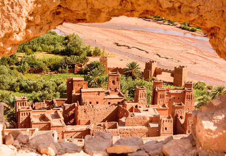 מאורגן למרוקו