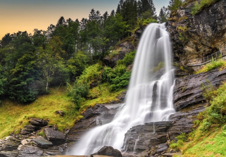 מאורגן לנורבגיה