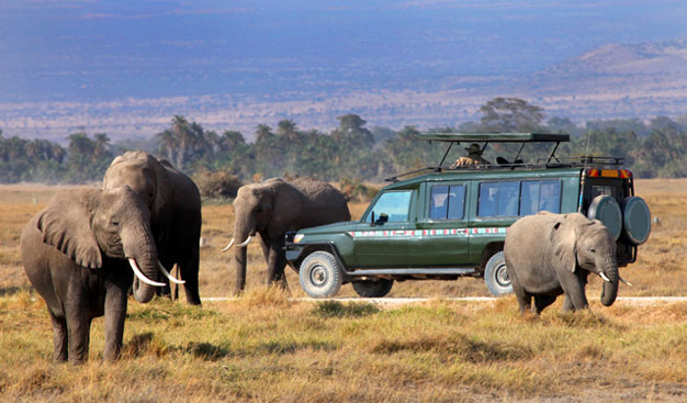 רכב ספארי הטיול המאורגן לטנזניה