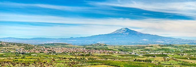 תמונת המלון 3