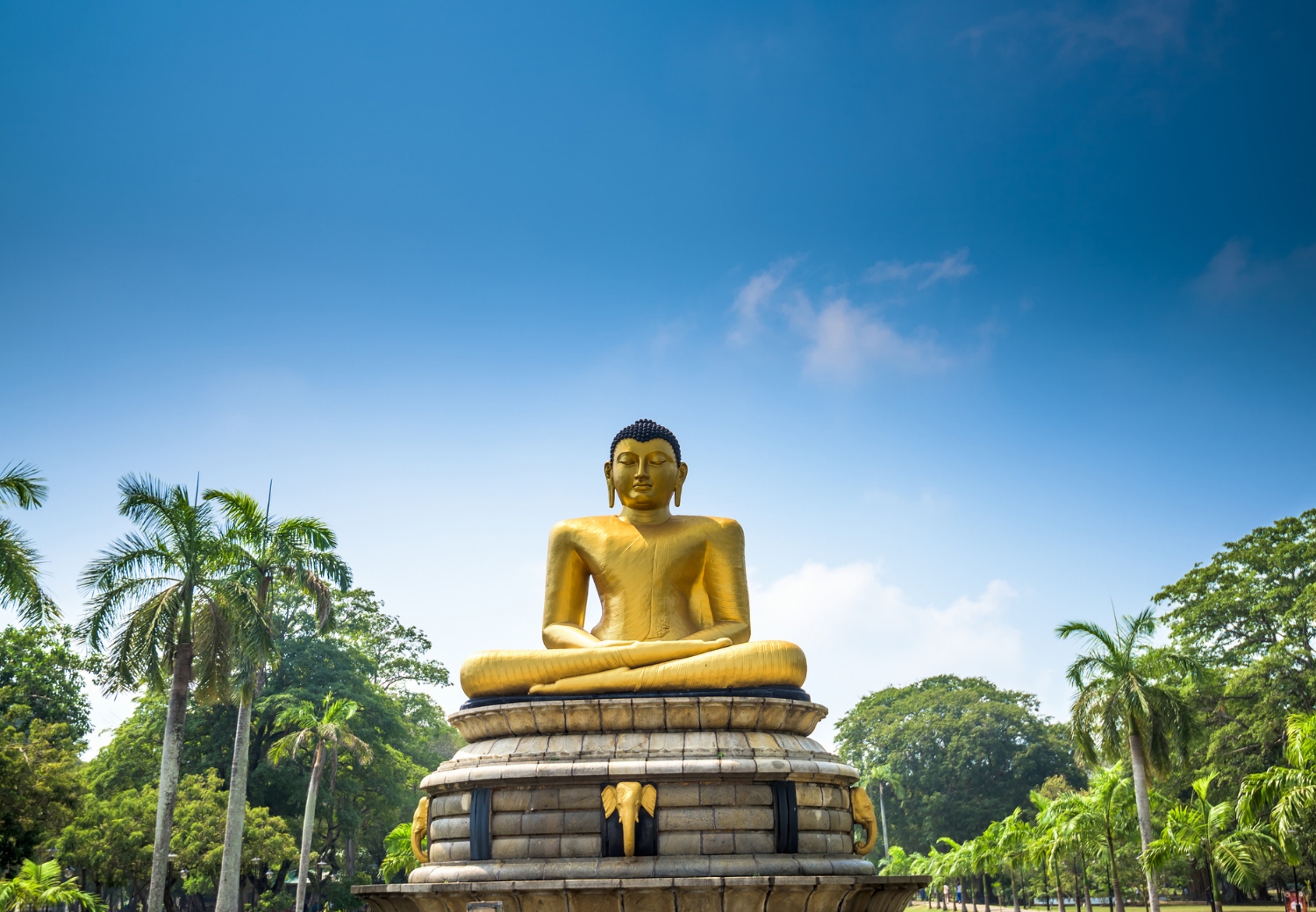 טיסה לסרי לנקה