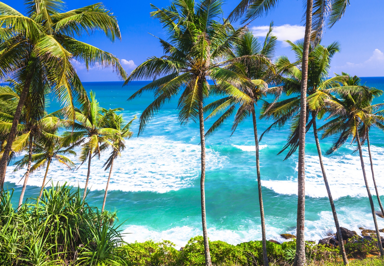 טיסה לסרי לנקה