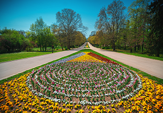 הגן הבוטני בטומי - Batumi Botanical Garden