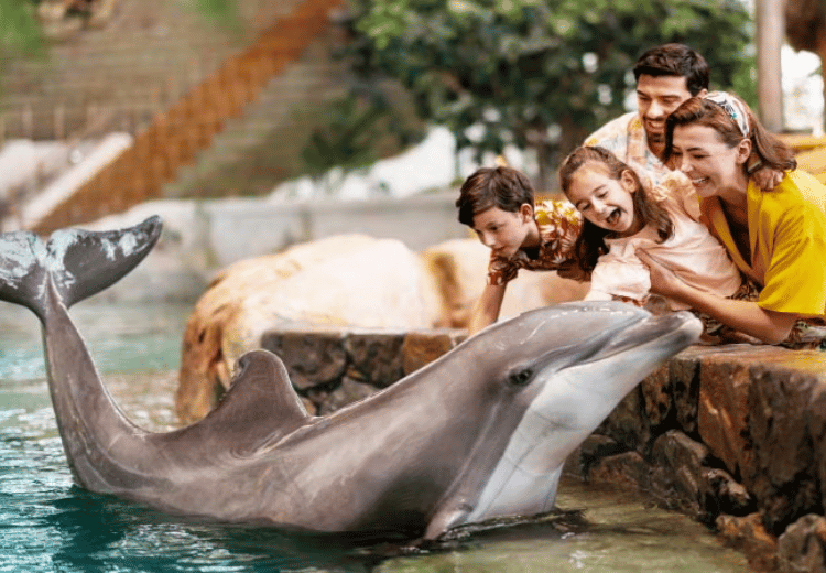 עולם הים יאס איילנד