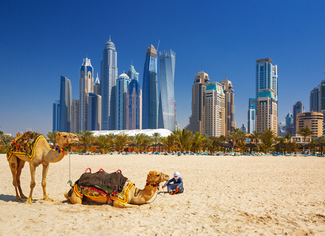 שני גמלים על חוף בדובאי עם רקע של גורדי שחקים מודרניים תחת שמיים כחולים.