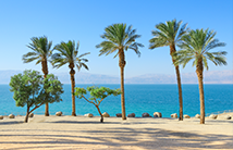 חופשה בים המלח