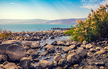 חופשה בטבריה והכינרת