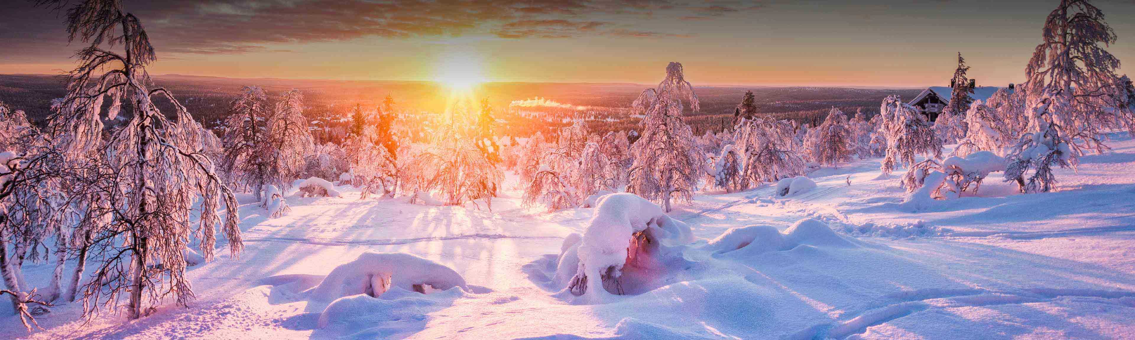 לפלנד בטיסה ישירה