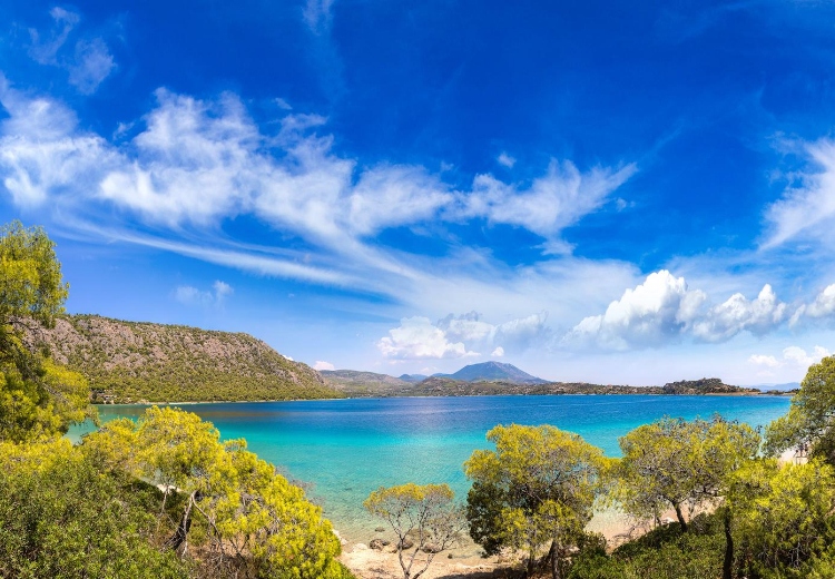 דיל מומלץ ללוטראקי