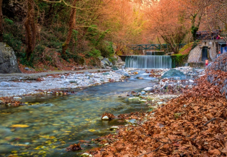 נופש בלוטראקי