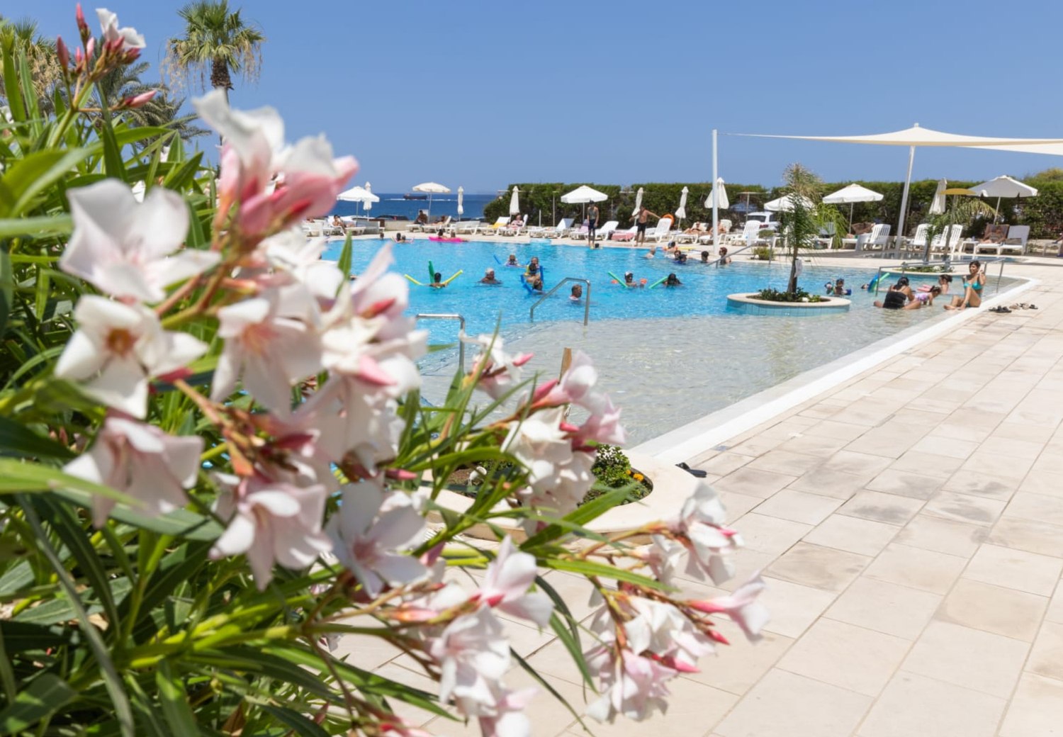 חופשה בפאפוס