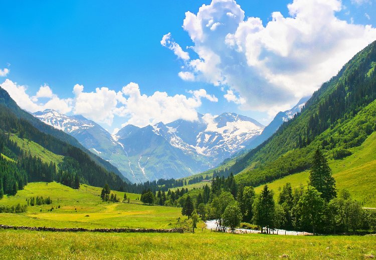 מאורגנים לטירול במאי