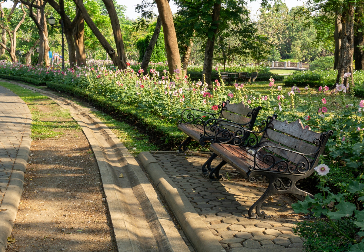 גן הציבורי בבוסטון - Public Garden