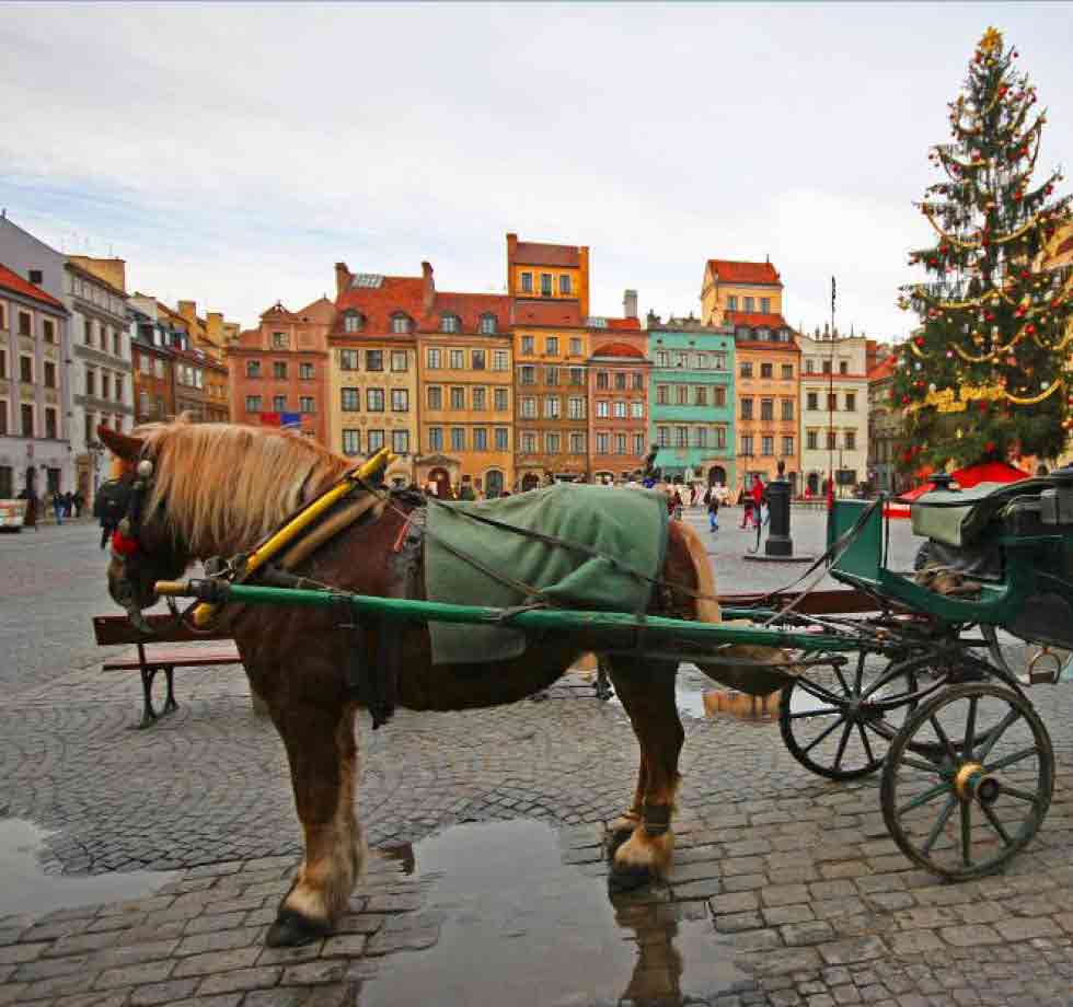 ורשה משפחות פסח 4 לילות